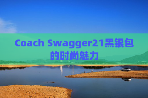 Coach Swagger21黑银包的时尚魅力
